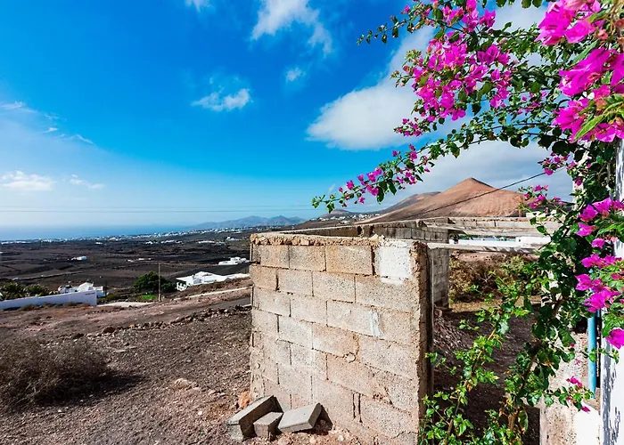 Gin Gin بويرتو ذيل كارمين