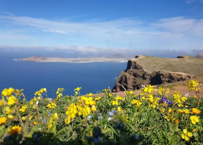 Gin Gin بويرتو ذيل كارمين